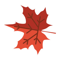 Maple leaf
