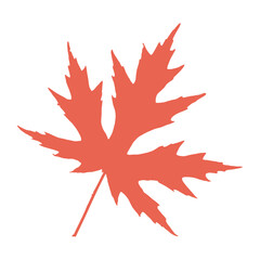 Maple leaf