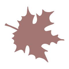 Maple leaf