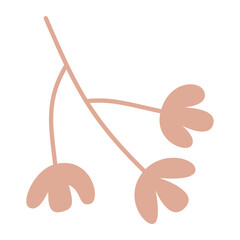 Branch