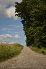 road in the forest