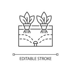 Aeroponics linear icon. Grow plants with air, water and nutrients. Soilless roots. Thin line customizable illustration. Contour symbol. Vector isolated outline drawing. Editable stroke