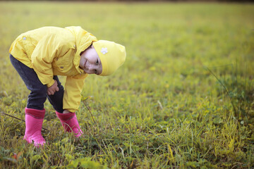 Children in the village walk through the autumn forest and gather mushrooms. Children in nature are walking in nature. Rural walk in autumn.