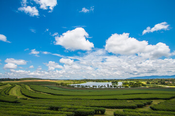 Fototapeta na wymiar green farm sky clouds beautiful mountains good weather