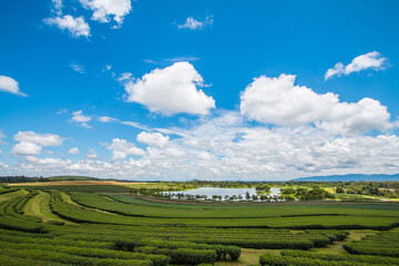 green farm sky clouds beautiful mountains good weather