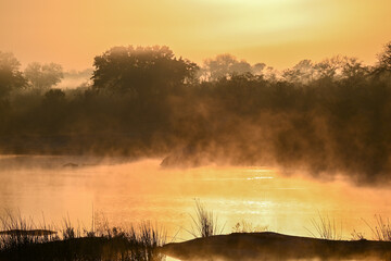 Fototapeta premium African sunrise in the bushveld 