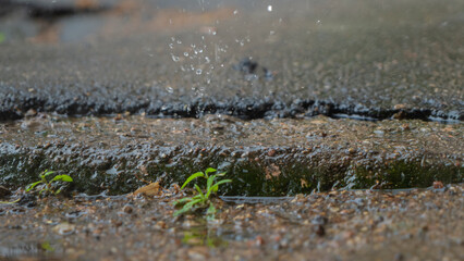 Heavy rain. Rainy season. Heavy rain falls on a road from which haze rises.