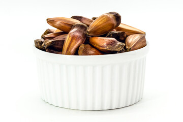 red brazilian pine seeds on isolated white background.