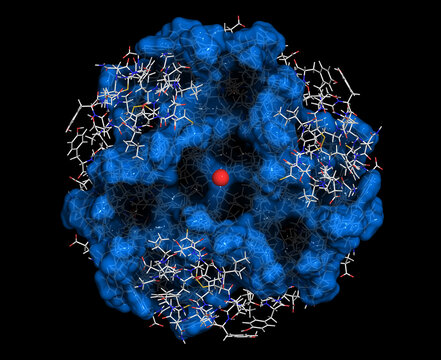 Insulin peptide hormone, 3D rendering. Important drug in treatme