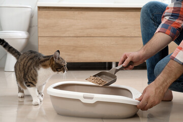 Young man cleaning cat litter tray at home, closeup