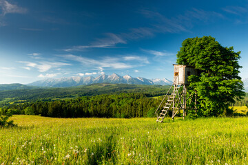 Picturesque Lapszanka Valley in tatra Mountains Poland at Summer