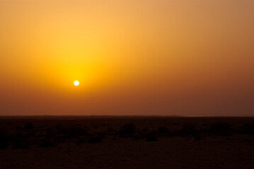 sunset in the desert