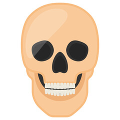 Human Skull With Teeth Concept Vector color Icon Design, Organ System Symbol, Human Anatomy Sign, Human Body Parts Stock illustration