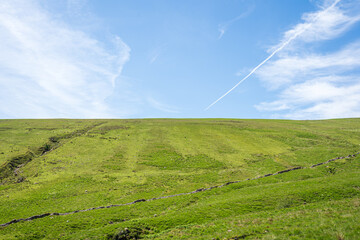 Lush green hillside with sheep and bright blue skies with some clouds and a jet stream, South Wales, United Kingdom