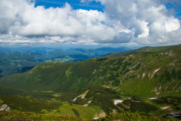 Fototapeta premium Mountain landscape. Green grass, blue mountains, flowers and needles. Montenegrin ridge in Ukraine in July. Hike in the Carpathian Mountains.