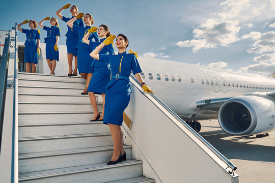 Six slim beautiful stewardesses saluting on the aircraft steps