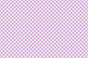 Pattern image of Chrysanthemum flower on white background.