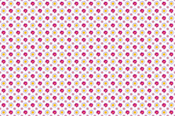 Pattern image of water lily flower on white background.