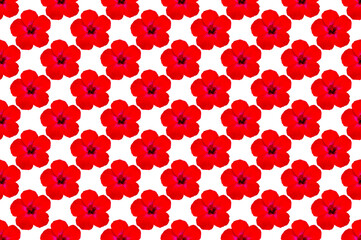 Pattern image of Hibiscus flower on white background.