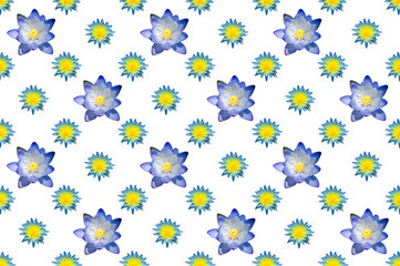 Pattern image of water lily flower on white background.