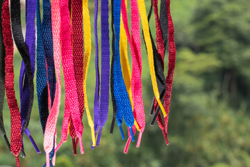 many colorful shoelaces, hanging over a dense jungle background, pointed down