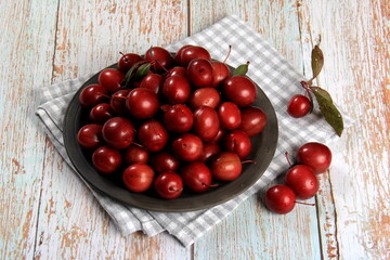 Prunus cerasifera var. pissardii or Spidola plum - Caucasian plum variety bred in Latvia. A small red plum