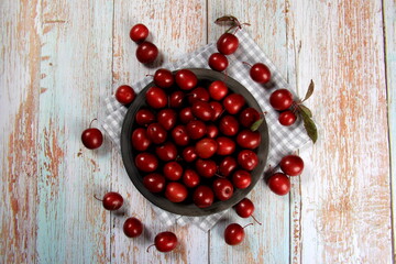 Prunus cerasifera var. pissardii or Spidola plum - Caucasian plum variety bred in Latvia. A small red plum