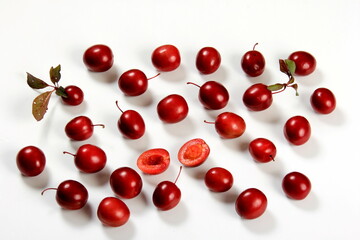 Prunus cerasifera var. pissardii or Spidola plum - Caucasian plum variety bred in Latvia. A small red plum