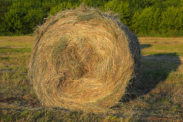 A lone bale of hay lies on a field