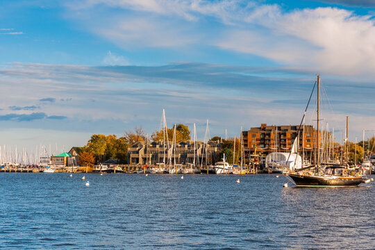 Annapolis Harbor on a Fall Evening