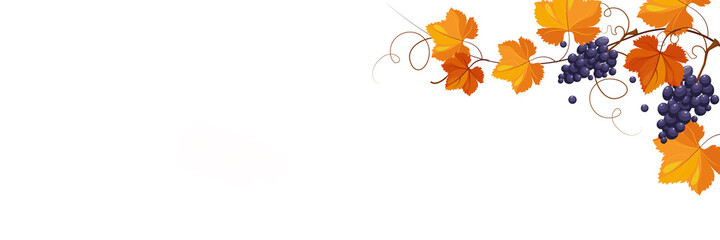 Wine grapes and leaves on branch isolated on white background