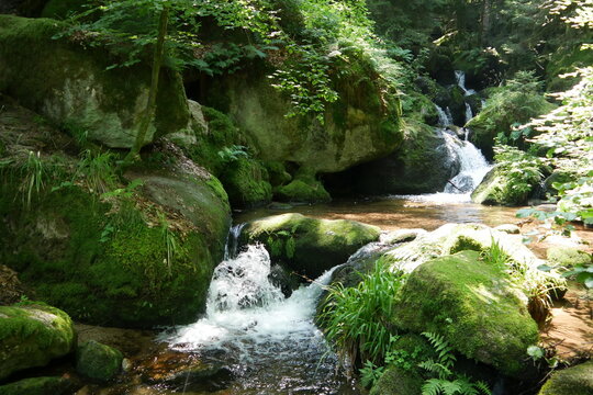 Wildbach Gertelbachf&auml;lle im Schwarzwald