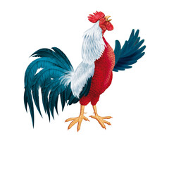 coq français, coq gaulois, coloré, bleu blanc rouge, mascotte, fier, mâle dominant, chant de coq, orgueilleux, drapeau français, coupe du monde, foot, ailes, oiseau, animal, ferme, volaille, coquelet,
