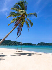 A swing under the coconut tree at Patong Beach, Phuket