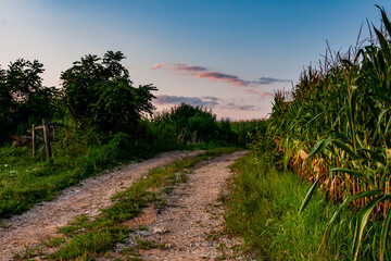 Fototapeta premium Farm Road, York, Pennsylvania