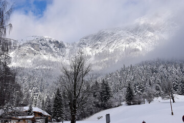 Fototapeta premium ski resort in winter