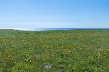 A panoramic view of the Baltic coastline at the Ales Stenar spot in Österlen region, Sweden.