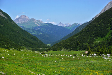 Fototapeta na wymiar Lechquellengebirge beim Formarinjoch, Blick zum Warther Horn, Vorarlberg, Österreich