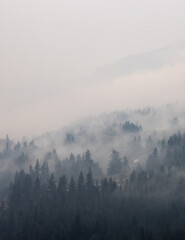 Trees on the side of a mountain in a valley covered by smoke from Forest Wildfire. Nature Disaster. Lytton, British Columbia, Canada.