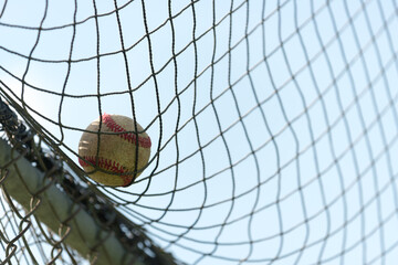 baseball tangled in a net