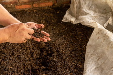 Matagalpa, Nicaragua august 5th 2021: Cultivation of limbrices to make compost. Green and organic crops.
