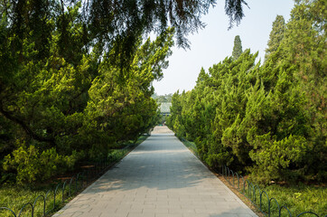 walkway in park