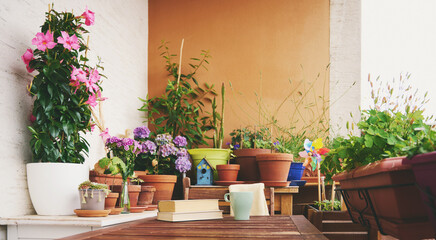 Cozy summer balcony with many potted plants, cup of tea and old vintage book