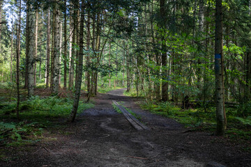 Hiking path in Omberg, Sweden