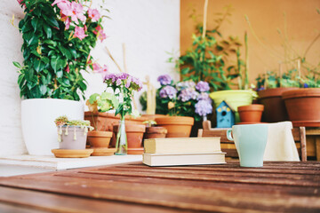 Cozy summer balcony with many potted plants, cup of tea and old vintage book