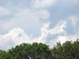 Obraz premium Gieschburg- 2021