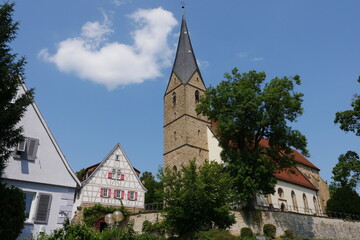 Fototapeta premium Alexanderkirche in Marbach am Neckar