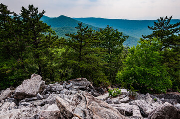 Obraz premium Photo of George Washington National Forest Hiking Trail, Virginia USA