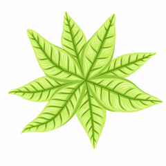 Green leaves. Vector illustration Ecology, natural trend.