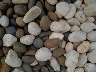 The light and shadow of stones of various sizes in my garden